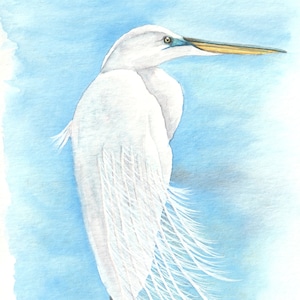ダイサギの絵画、背の高い白鷺の水彩画、海鳥の版画、海水鳥の