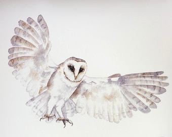 Spirit Owl - Fine Art Print - Barn Owl