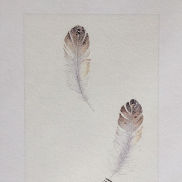Wish:  Barn Owl Feather with Ogham Writing - Guí - Gaelic - Celtic - Fine Art Print