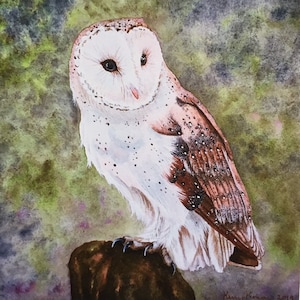 Barn Owl - Watercolor Print