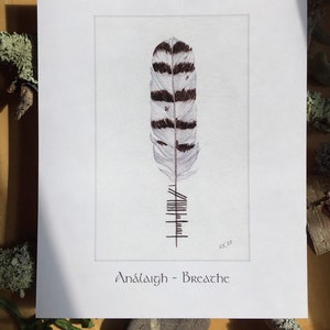 Breathe:  Snowy Owl Feather with Ogham Writing - Análaigh - Gaelic - Celtic - Fine Art Print