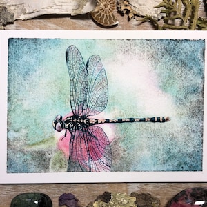 Dragonfly with Pink Rose - Fine Art Print - Dragonfly Watercolor Print