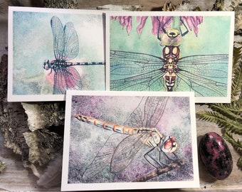 Dragonfly Notecards - Set of 6 - Blank Greeting Cards