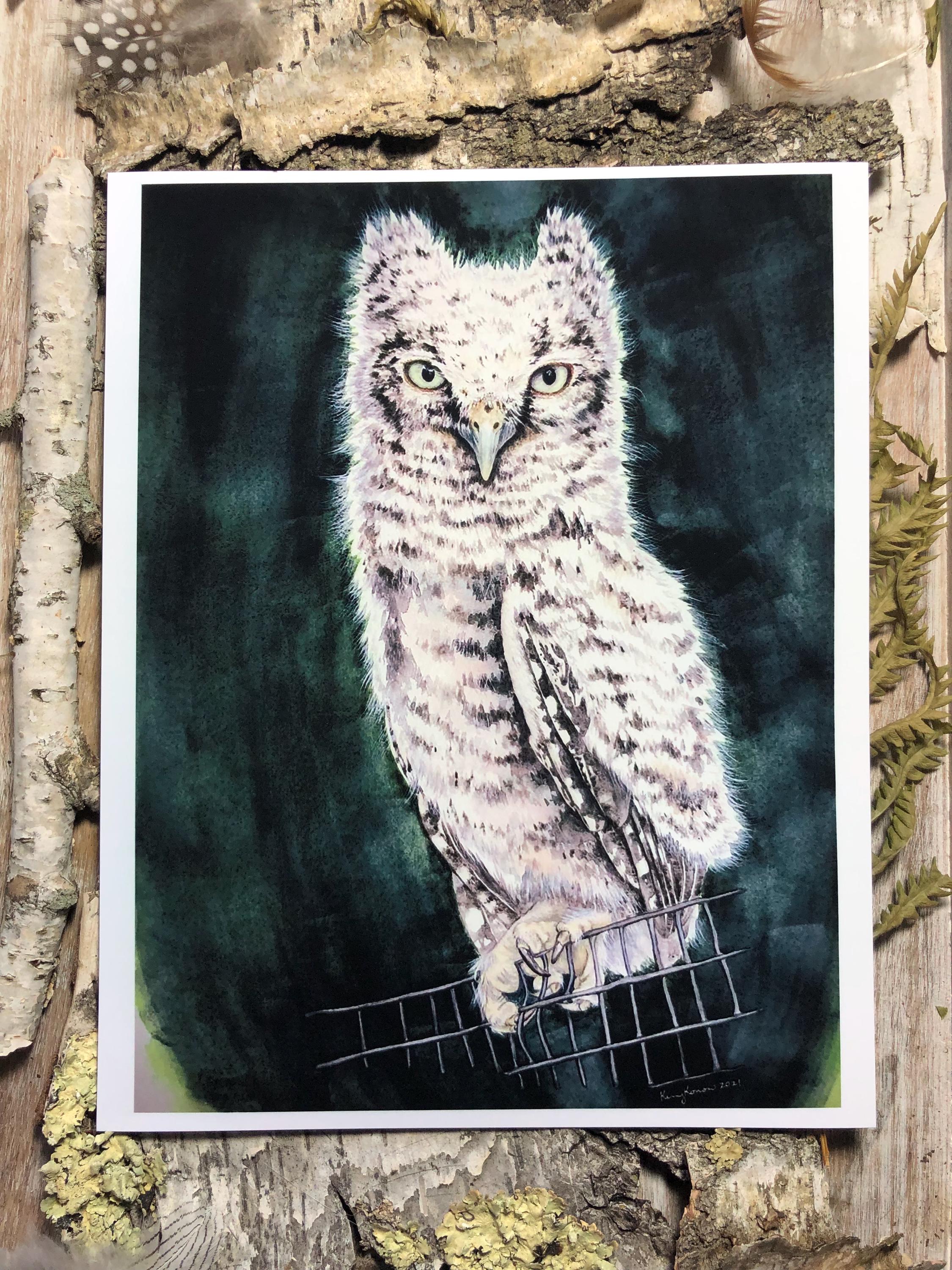 The Owlet - Fine Art Print - Owl Wall Art