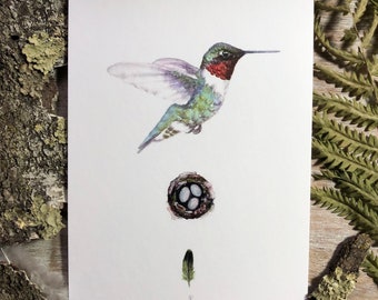 The Guardian: Hummingbird with Nest - Fine Art Print - Ruby-Throated Hummingbird, Nest, Feather, Naturalist Print