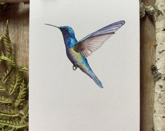 Sapphire-Throated Hummingbird - Fine Art Print - Blue and Green Hummingbird