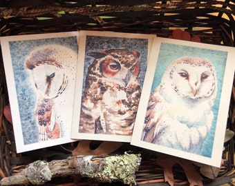 Owl Notecards - Set of 6 - Blank Greeting Cards - Great Horned Owl, Barn Owls, Owl Portraits - All Occasion Cards