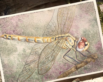 Golden Dragonfly: Gilded Serenity - Original Watercolor - Insect Garden Art, Nature Illustration