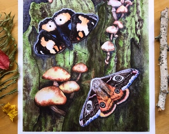 Butterfly and Moth - Large Fine Art Print - Forest Flora and Fauna, Woodland Mushrooms, Butterflies, Nature