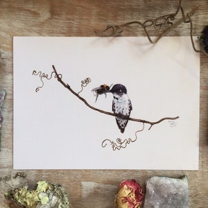 Bumblebee and Hummingbird Watercolor Art Print