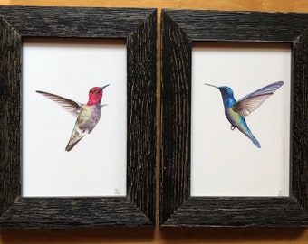 Set of Hummingbird Framed Watercolor Prints - Pink and Blue Hummingbird Print Set, Hummingbird Gift