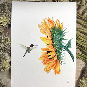 Sunlit Serenade: Ruby-throated Hummingbird and Sunflower - Fine Art Print - Hummingbird, Sunflower, Garden Print