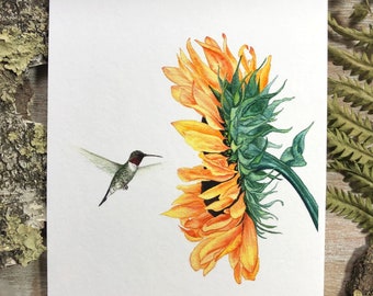 Sunlit Serenade: Ruby-throated Hummingbird and Sunflower - Fine Art Print - Hummingbird, Sunflower, Garden Print