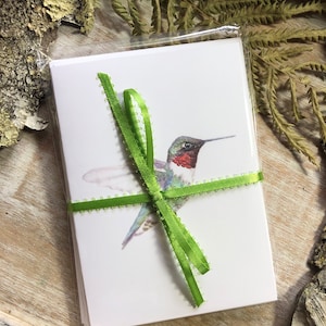 Notitiekaarten kolibrie - set van 6 - briefpapier Bird - blanco kaarten - kaarten voor alle gelegenheden