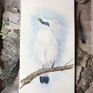 Ethereal Majesty: The Bali Myna - Original Watercolor - Exotic Bird Painting, Bali Starling