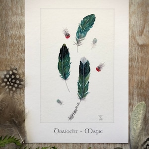 May include: A watercolor painting of green and white feathers with red berries. The text "Óráiocht - Magic" is written at the bottom of the print.