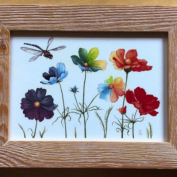 Rainbow Cosmos Framed Watercolor Print - Colorful Dragonfly Garden Gift