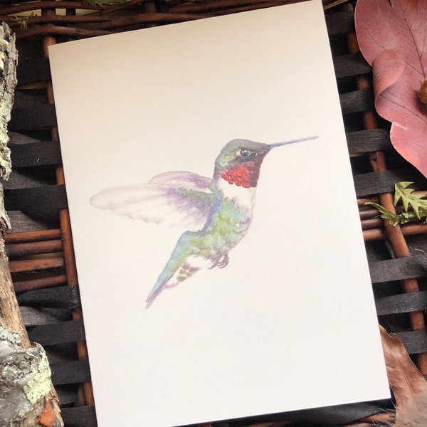 Hummingbird Notecards - Set of 6 - Bird Stationary - Blank Cards - All Occasion Cards