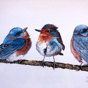 Bluebird Poster - Drosseln des Glücks - Großer Kunstdruck, Vogel, Wandbehang