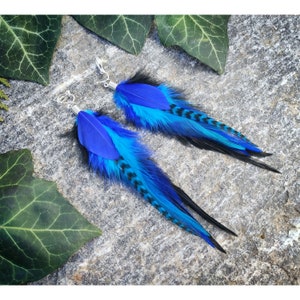 Clip-on feather earrings, Dark blue & black dangle quirky earrings, Real natural feathers, Witchy gothic jewelry, Hoops hooks or clip ons