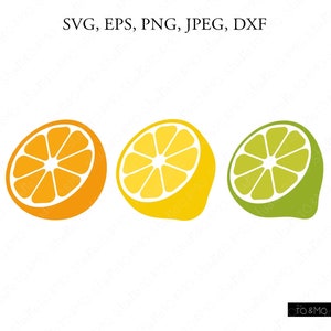 Orange SVG, Orange Fruit Svg, Lemon Svg, Lime SVG, Lemon fruit Svg, Summer Svg, SVG Files, Cricut, Silhouette Cut Files