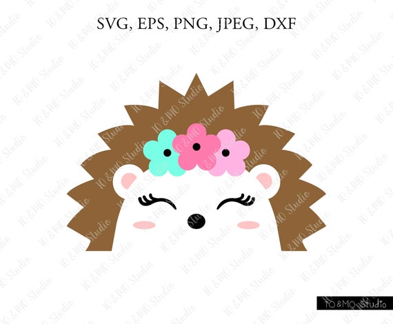 Hedgehog Svg Cute Hedgehog Face Svg Hedgehog Clip Art Etsy