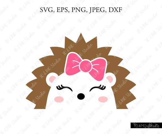 Download Hedgehog Svg Cute Hedgehog Face Svg Hedgehog Clip Art Etsy