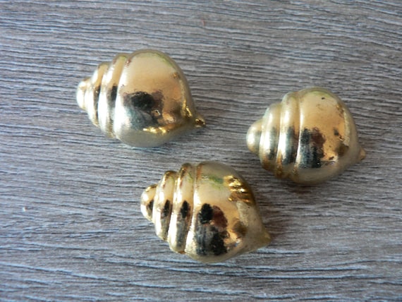 Three Vintage Brass Conch Shell Buttons With Shank Bottoms | Etsy