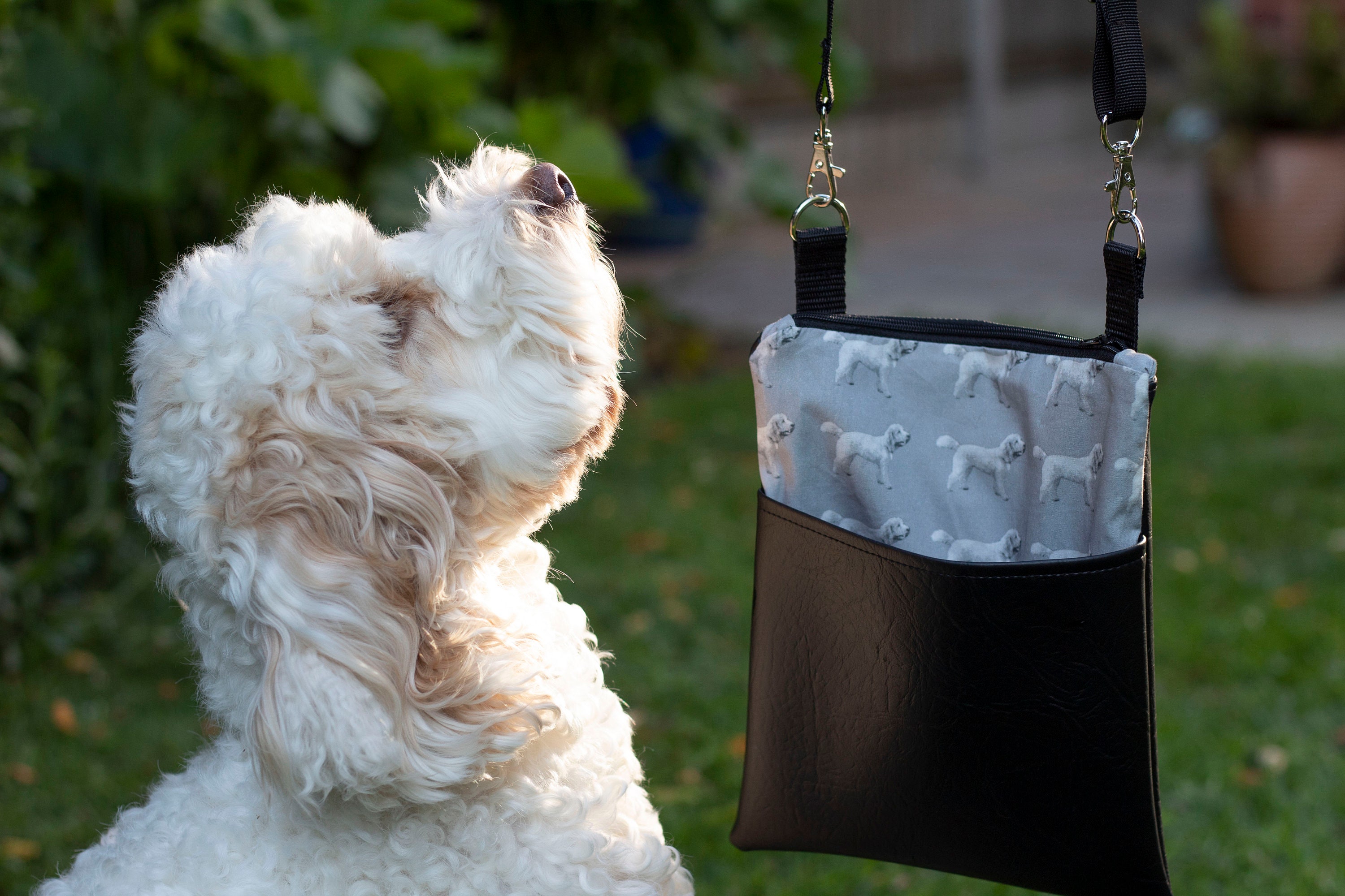 Cockapoo Bag Dog Walking Bag Crossbody Bag Crossbody Etsy