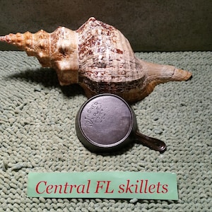 May include: A small, cast iron skillet with a handle, next to a large, tan and brown seashell. The skillet has the text "Wagner Ware Sidney -O- USA" embossed on its base. The items rest on a green, textured surface.