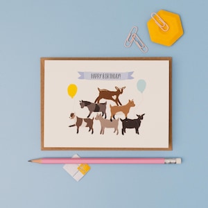 Goat party birthday card- pygmy goat party birthday card