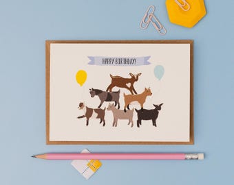 Pygmy Goat Birthday Card - Fun Party Farm Animals