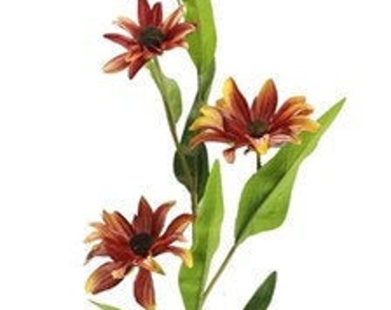 31" Natural - Black Eye Susan- Floral Pick - Dark Orange & Yellow Wildflowers - Sunset