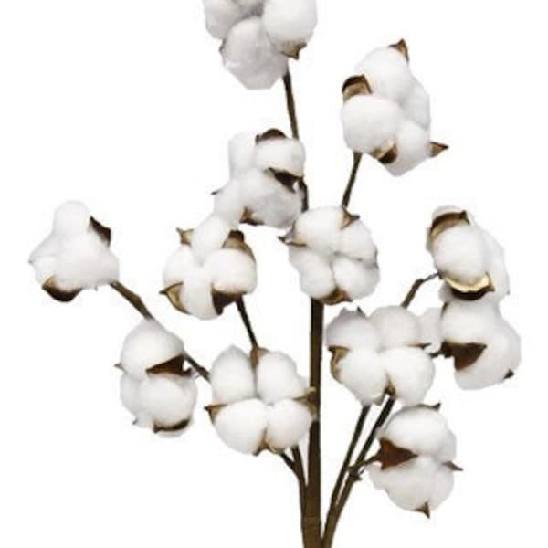 PICKS - Cotton Picks - Floral Picks - Picks - Natural Cotton Floral - Floral Sprays - Natural Picks - 18.5"L