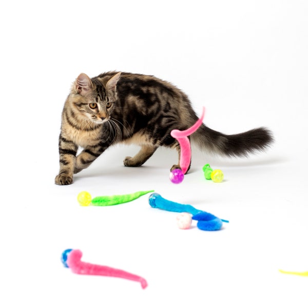 Super bouncy Wiggly Ball - cat toy with wiggly tail, fun cat toy ball (colors vary)