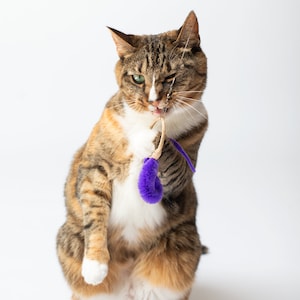 A-lure Ring - fun ring toy with wiggly tail, declaw-friendly, chewable and safe, wand attachment for cats (wand sold separately)