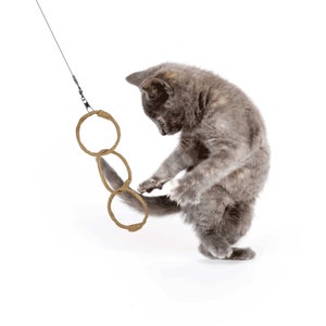 Puede incluir: Un gatito gris atigrado jugando con un juguete de cuerda marr&oacute;n con tres anillos. El gatito est&aacute; saltando y tratando de atrapar el juguete con sus patas.