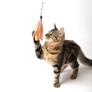 Wiggly Wand with Cuttlefish attachment - paper tassel cat toy - attachment for wand - telescoping wand toy for cat - exercise and enrichment