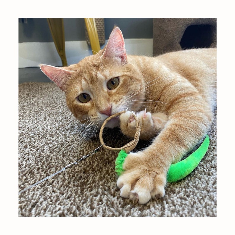 A-lure Ring fun ring toy with wiggly tail, declaw-friendly, chewable and safe, wand attachment for cats wand sold separately image 3