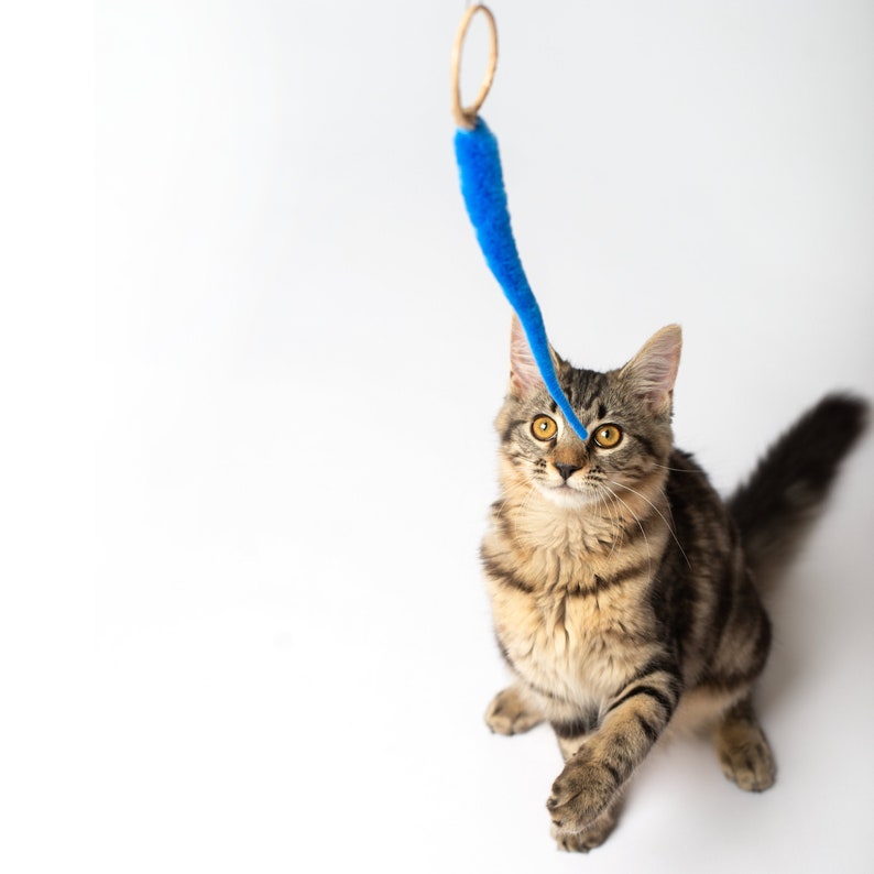 A-lure Ring fun ring toy with wiggly tail, declaw-friendly, chewable and safe, wand attachment for cats wand sold separately image 4