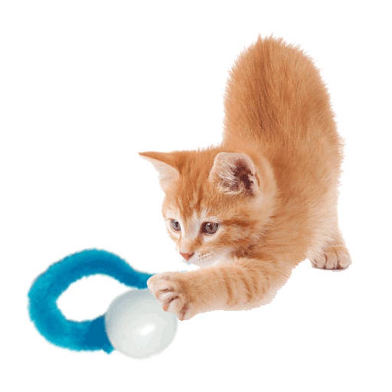 Cat toy balls Wiggly Pong ball with silvervine scented Etsy