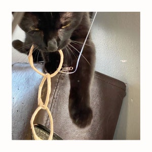 Oh Ring - eco-friendly, all natural cat toy, safe for declawed cats, wand attachment (wand not included)