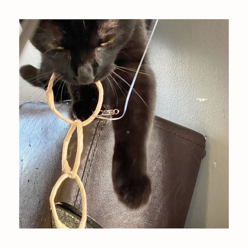 Puede incluir: Un gato negro jugando con un juguete tejido marr&oacute;n con tres anillos. El gato est&aacute; sentado en una silla de cuero marr&oacute;n.