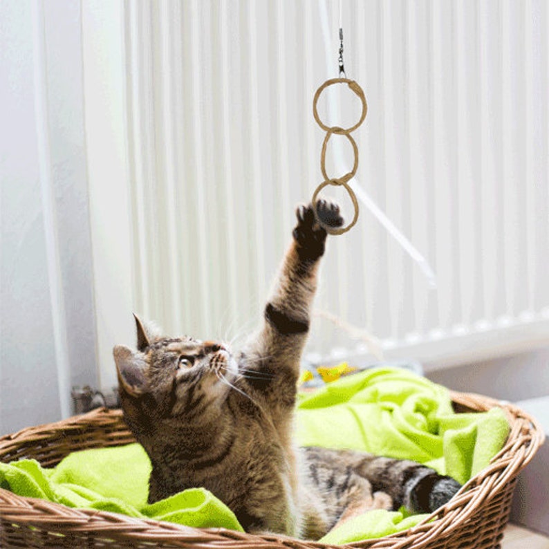 Puede incluir: Un gato atigrado juega con un juguete colgante hecho de tres anillos de cuerda trenzada. El gato est&aacute; acostado en una cesta de mimbre con una manta verde.