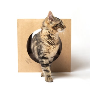 Cat Tunnel - Hide and Sneak - expandable paper cat tunnel, fun hideaway for cats, all natural, silvervine scented