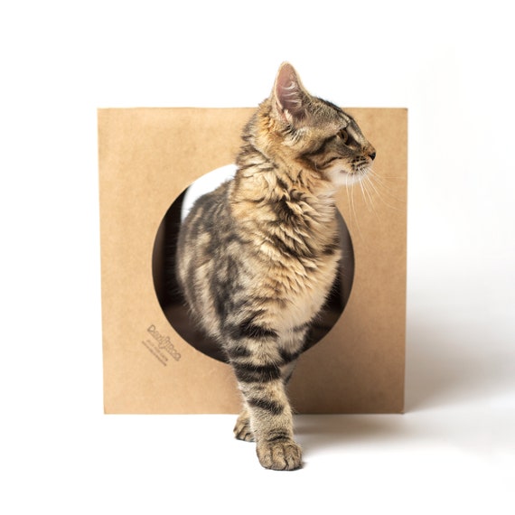 Whisker city kitty tunnel multi scratcher cheap