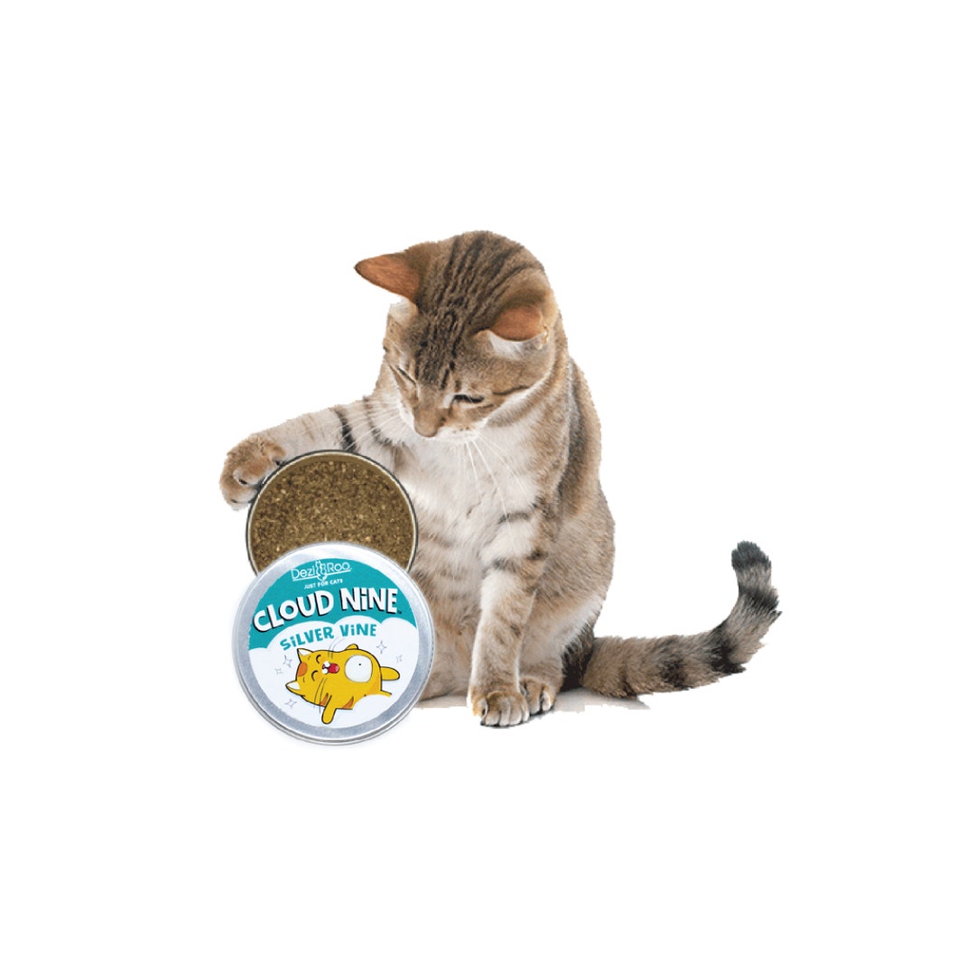 Roo cat food cheap