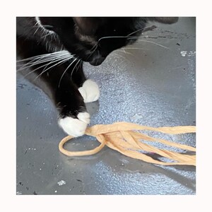 Flutter Ring eco-friendly, all natural cat toy and wand attachment wand sold separately image 3