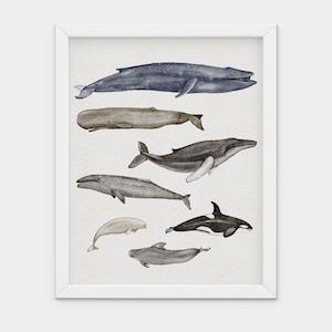 Whales Art Print Digital Download, Nursery Art to Print at Home