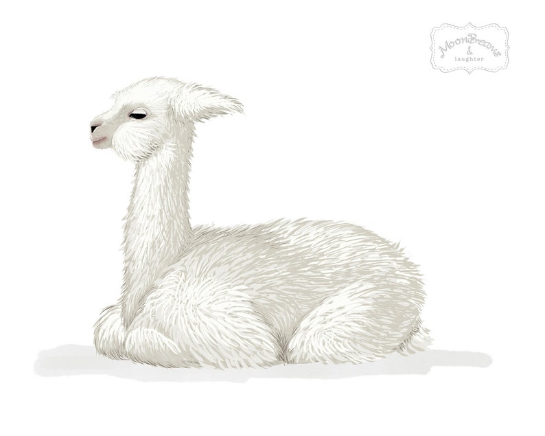 Llama Nursery Art Printable, Baby Llama Print, Kid's Room Decor, Baby ...